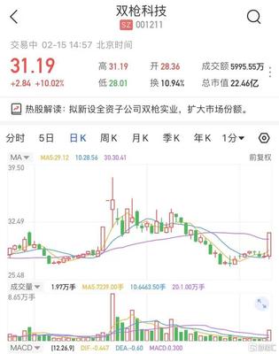 雙槍科技擬新設全資子公司雙槍實業(yè)，股價強勢漲停